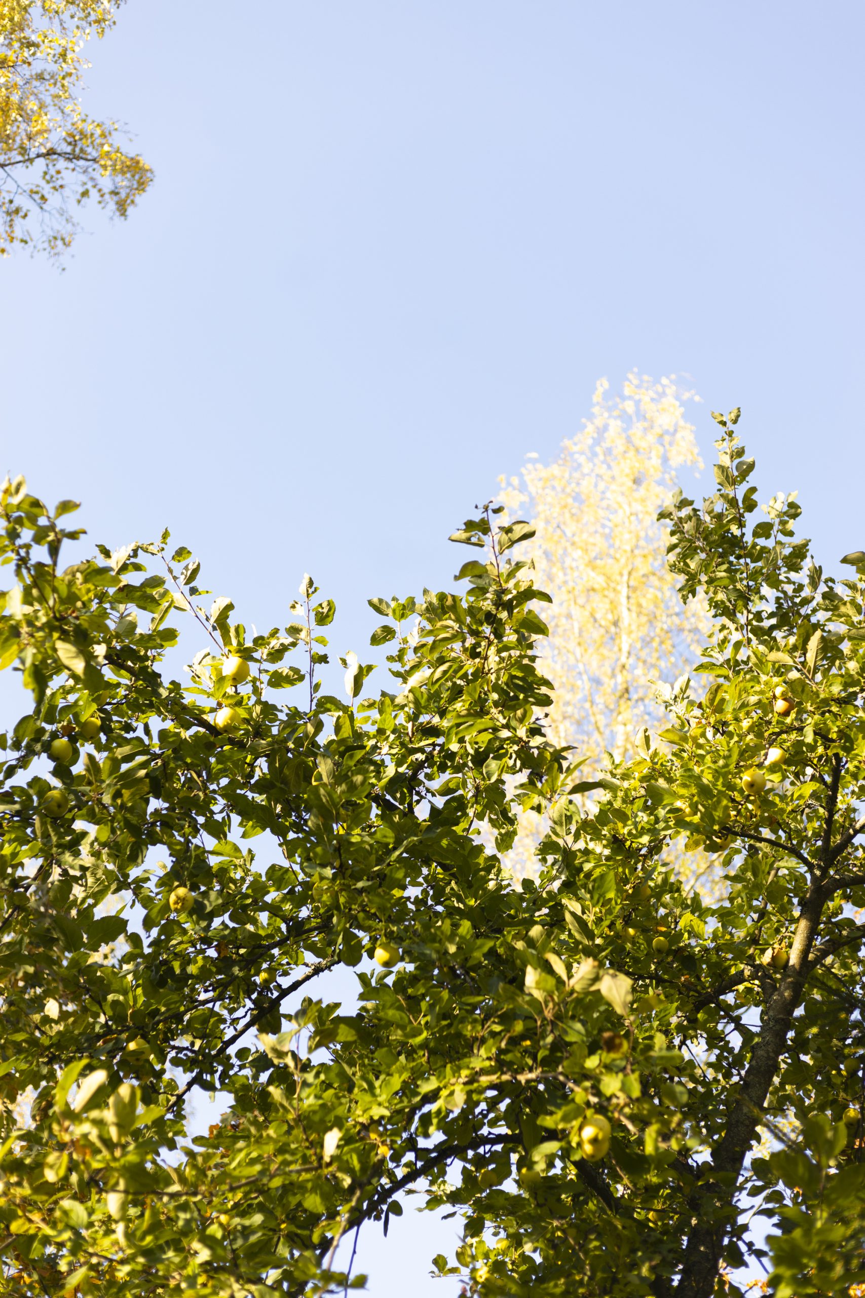 Kevään 2026 ohjelma täydentyy